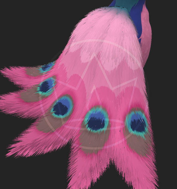 Available in my shops